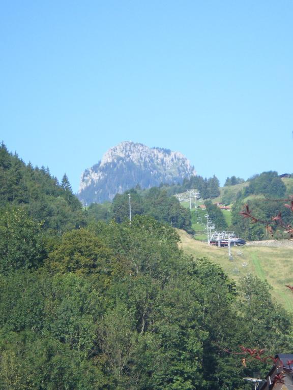 Heidinger Apartment Oberaudorf Exterior foto